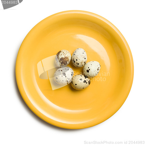 Image of quail eggs on yellow plate