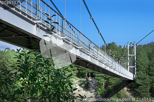 Image of Bridge thrown across the ravine