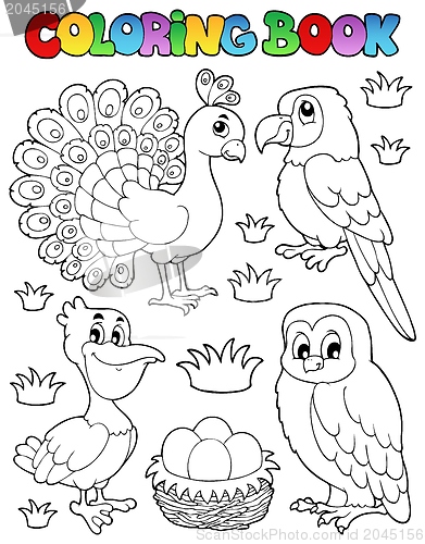 Image of Coloring book bird image 4