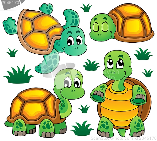 Image of Image with turtle theme 1