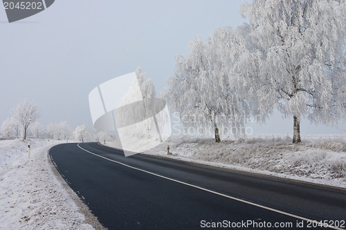 Image of The road in winter