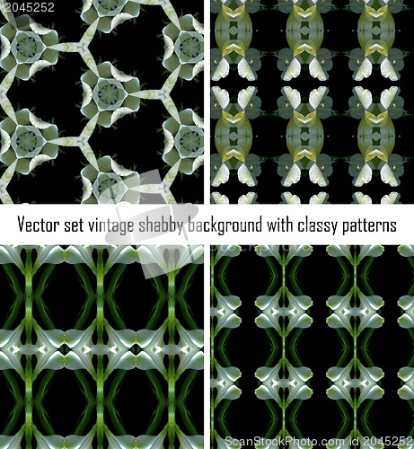 Image of Vector set vintage background classical patterns