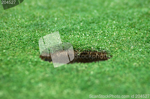 Image of golf hole