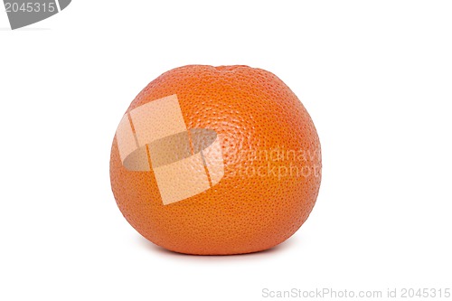 Image of Ripe appetizing grapefruit