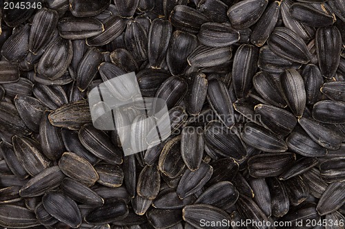 Image of sunflower seeds background