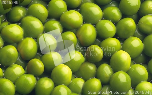 Image of Green pea background