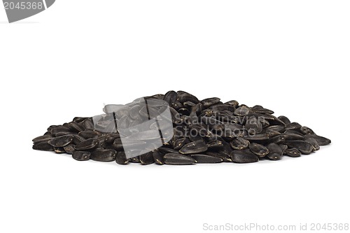 Image of a pile of sunflower seeds isolated