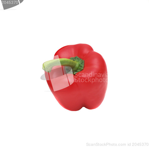 Image of Bell pepper (bulgarian pepper) isolated on white