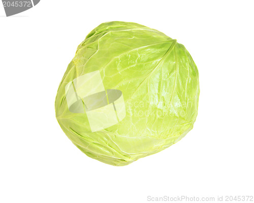 Image of cabbage