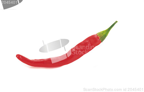 Image of red hot chili pepper isolated on a white background