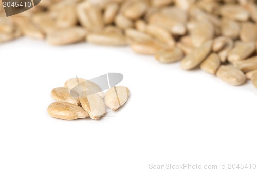 Image of fresh sunflower seeds isolated on a white background