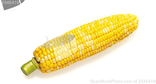 Image of Fresh raw corn cob isolated on the white