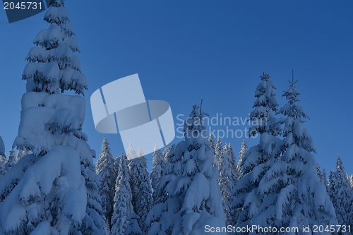 Image of mountain winter landscape