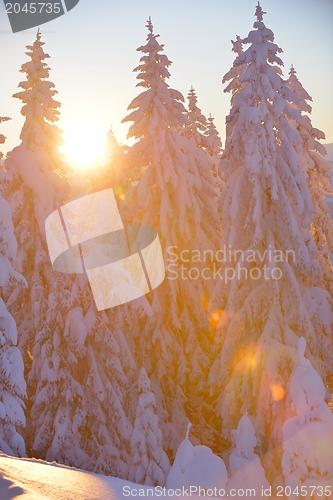 Image of mountain winter landscape