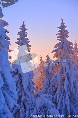 Image of mountain winter landscape