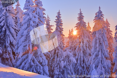 Image of mountain winter landscape