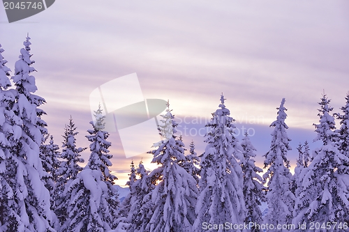 Image of mountain winter landscape