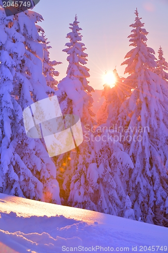 Image of mountain winter landscape