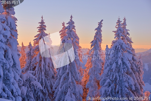 Image of mountain winter landscape