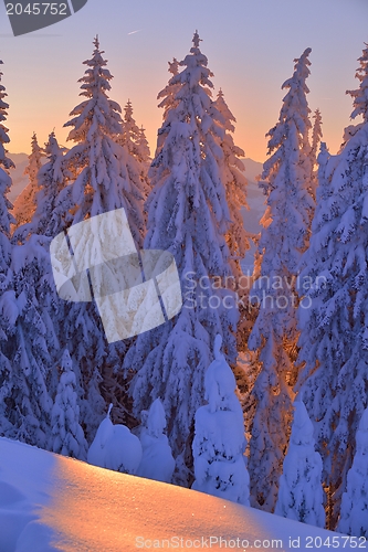 Image of mountain winter landscape