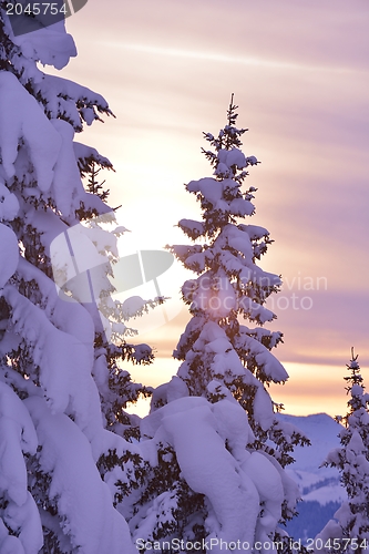 Image of mountain winter landscape