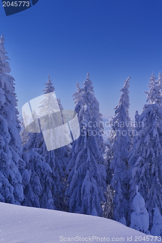 Image of mountain winter landscape