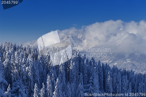 Image of mountain winter landscape