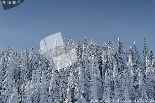 Image of mountain winter landscape