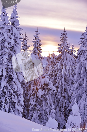 Image of mountain winter landscape