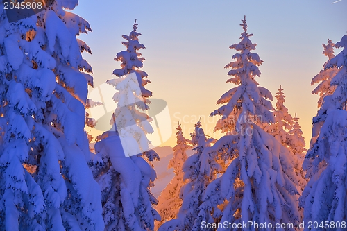 Image of mountain winter landscape