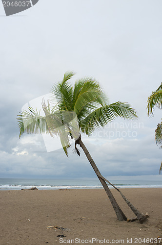 Image of Tropical storm