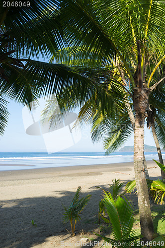 Image of Exotic beach