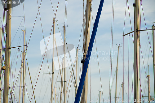 Image of Sailboat masts