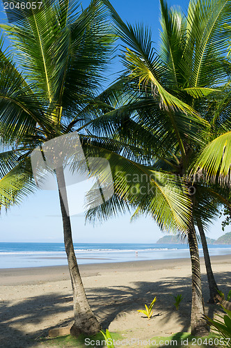 Image of Exotic beach