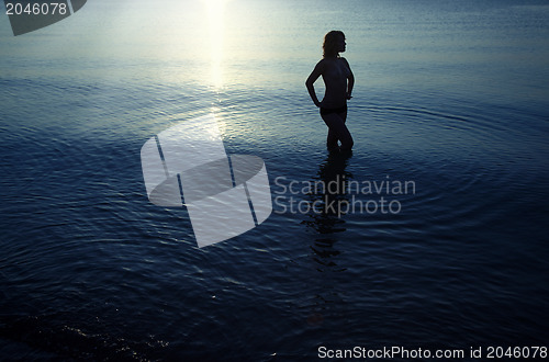 Image of Enigma in the sea