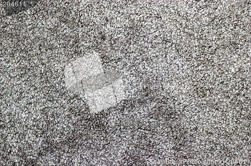 Image of Carpet