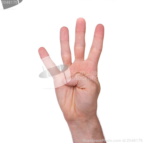 Image of Man's hand isolated 