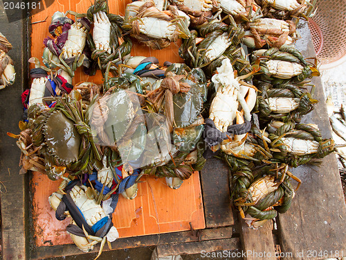 Image of Crab for cunsumption on a Vietnamese market