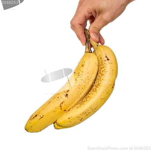 Image of Hand full of bananas