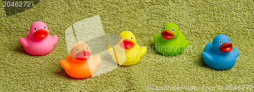 Image of Rubber ducks isolated