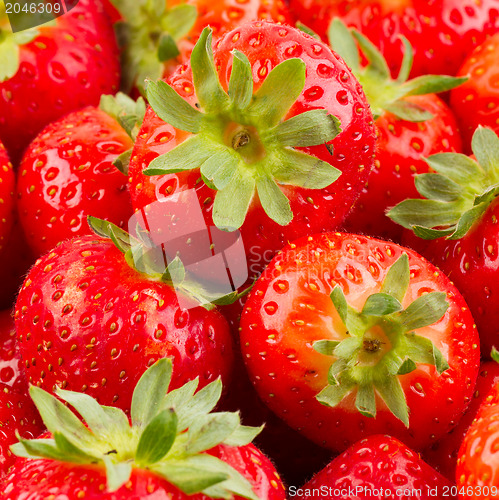 Image of Fresh strawberry 