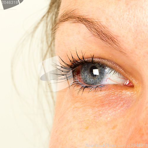 Image of Women eye, close-up, blue