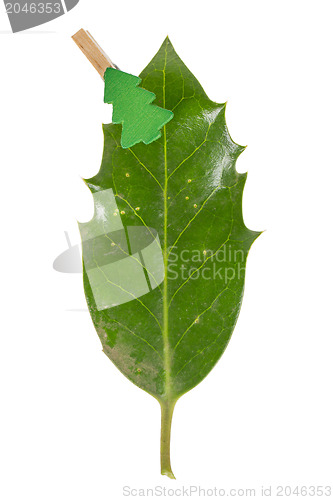 Image of Small clothes pin with a christmas tree on a leaf (butchers broo