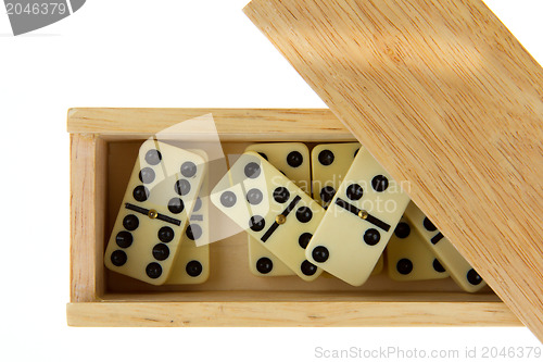 Image of Domino in wooden box