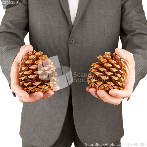 Image of Man in grey suit is holding two pine cones