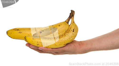 Image of Hand full of bananas