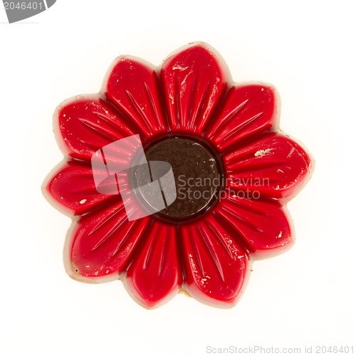 Image of Damaged red chocolate flower, isolated