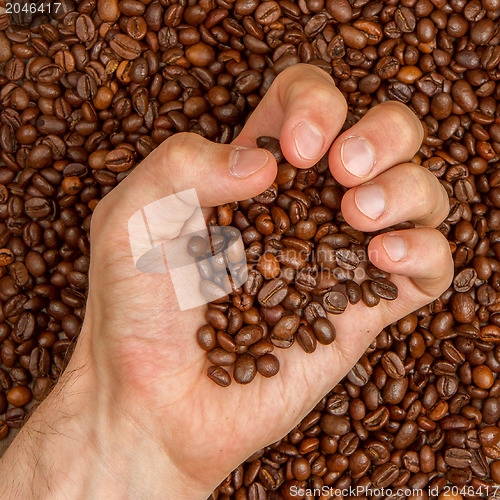 Image of Coffee beans in hand