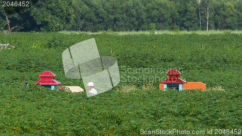 Image of Two old graves in a field