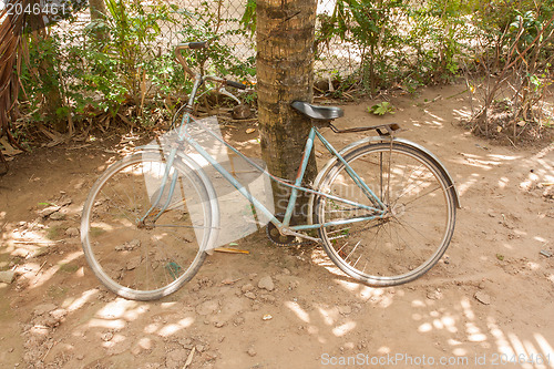 Image of Abandoned bike near a tree